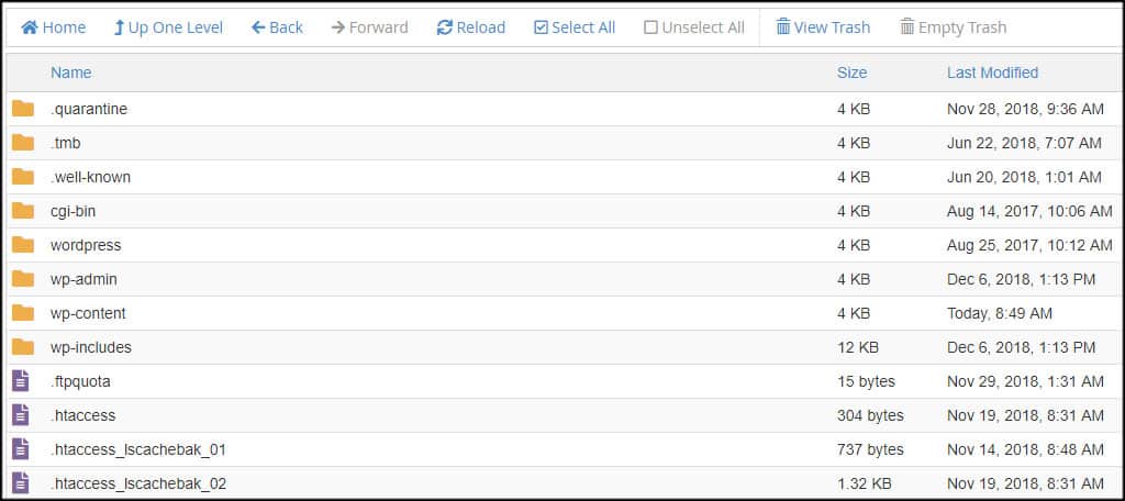 Website Root Folder